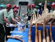 Показно: унищожиха 660 кг изделия от слонова кост, конфискувани на китайските митници от 2014 година досега
