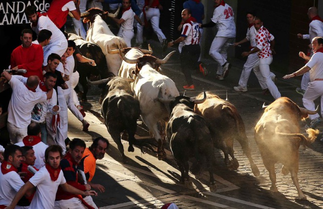 Бикове гонят смелчаци на фестивала Сан Фермин в Испания