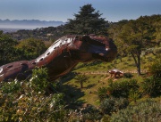 Динозавър Тиранозавър Рекс в реален размер е част от изложба сред цикадите в Кейп Таун, ЮАР
