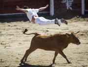 Смелчаци се надбягват с бикове в Мадрид