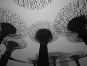 Смог превърна в призраци дърветата в крайбрежната градина в Сингапур