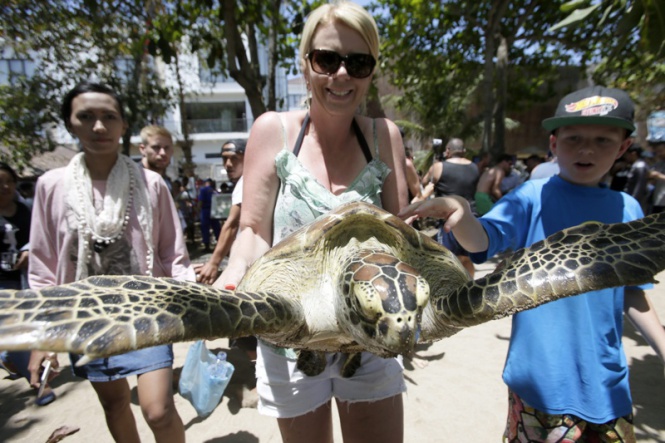 Туристи спасяват костенурки от незаконен трафик в Бали