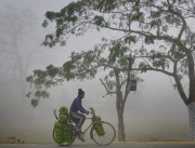 Индийски търговец на банани се придвижва на велосипед в Индия по време на тамошната зима.